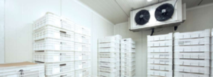 solution frigorifique